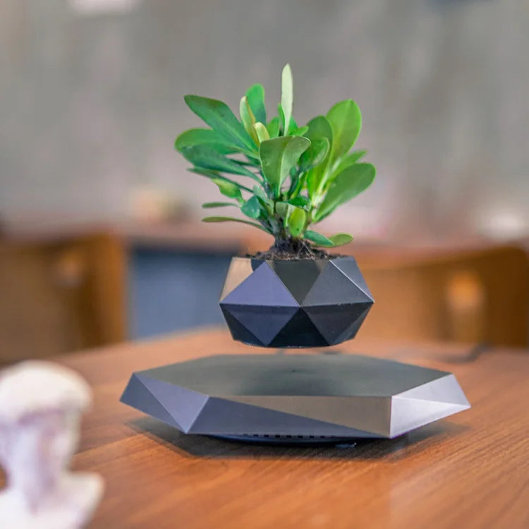 Nordic Design Agriculture Smart Indoor Hydroponic Garden Vap Magnetic